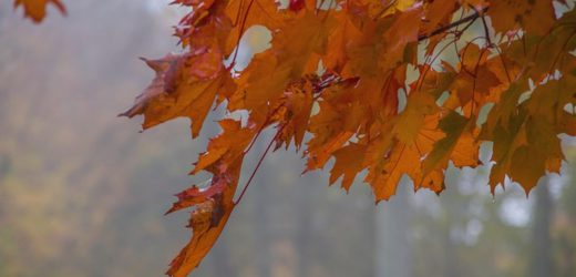 Jak zadbać o siebie jesienią? Jesienna pielęgnacja
